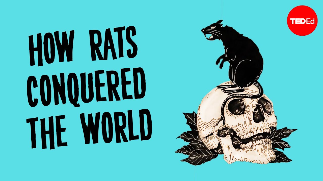 The history of the world according to rats - Max G. Levy
