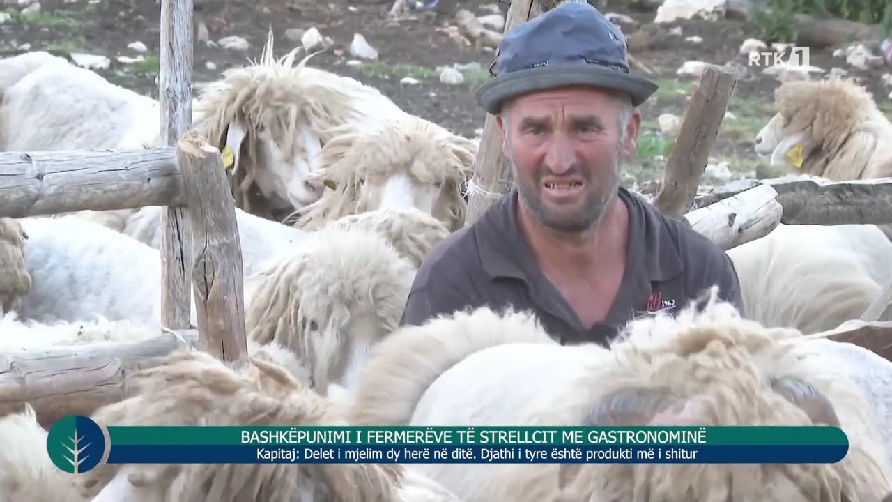 Toka - Bashkëpunimi i fermerëve të Strellcit me gastronominë  23.07.2025