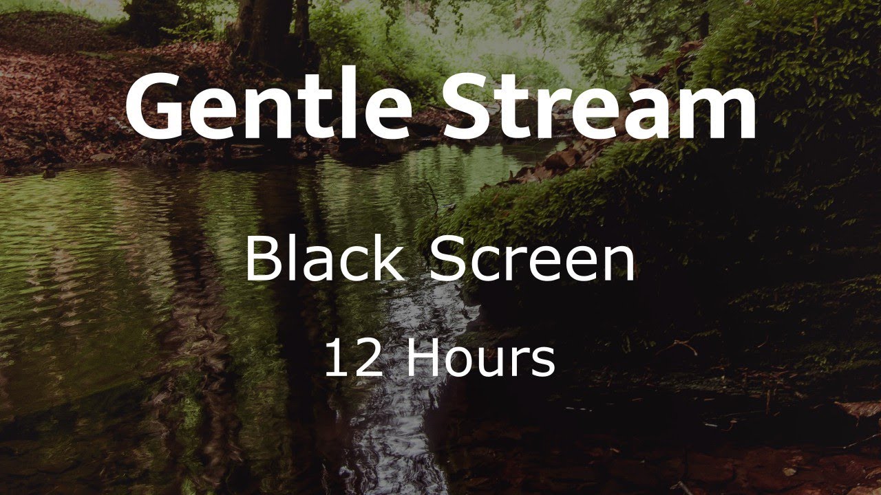 12 Hours of Forest Stream Sounds 🌳 Black Screen Relaxation