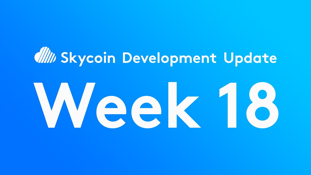 Skycoin Development Update Week 18