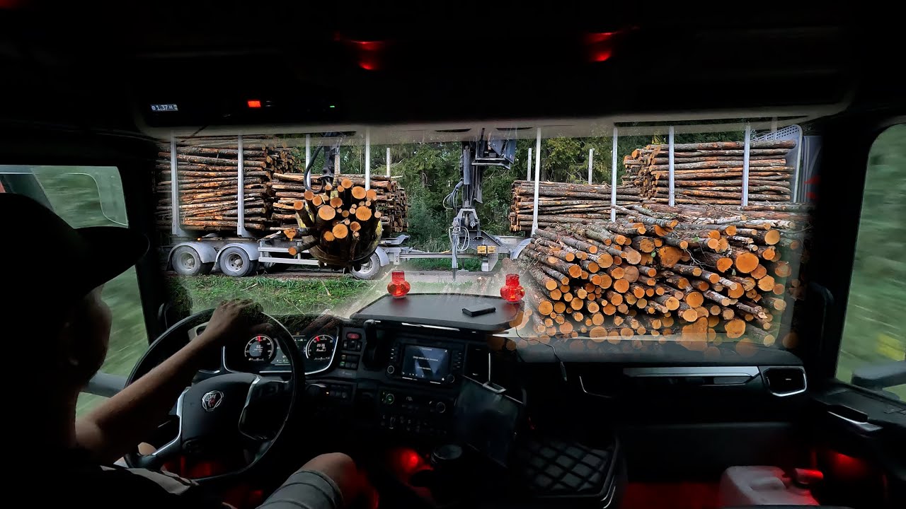 Timber truck driver goes to work ∣ Loading Alder