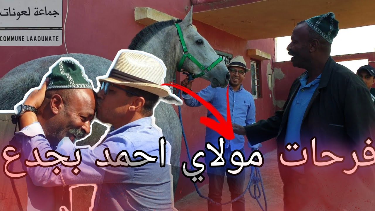 دينا 2 الخيل في رحلا مع مولاي احمد و بدريس نحو دكالة