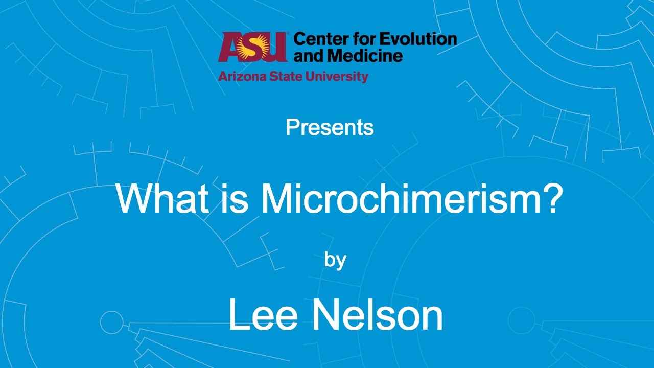 What is Microchimerism | Lee Nelson