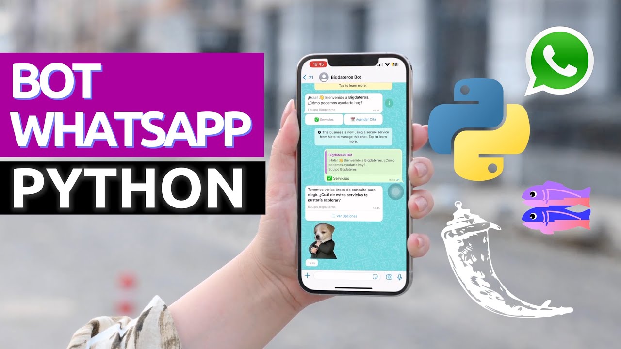 Python y WhatsApp: Cómo Hacer un Chatbot !GRATIS¡ 2023 - ASMR