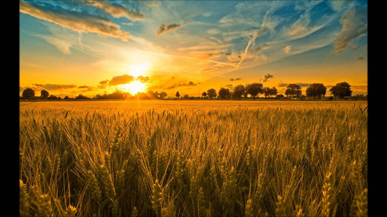 Alex M.O.R.P.H. - New Harvest (New Club Mix) [FENOLOGY RECORDS]