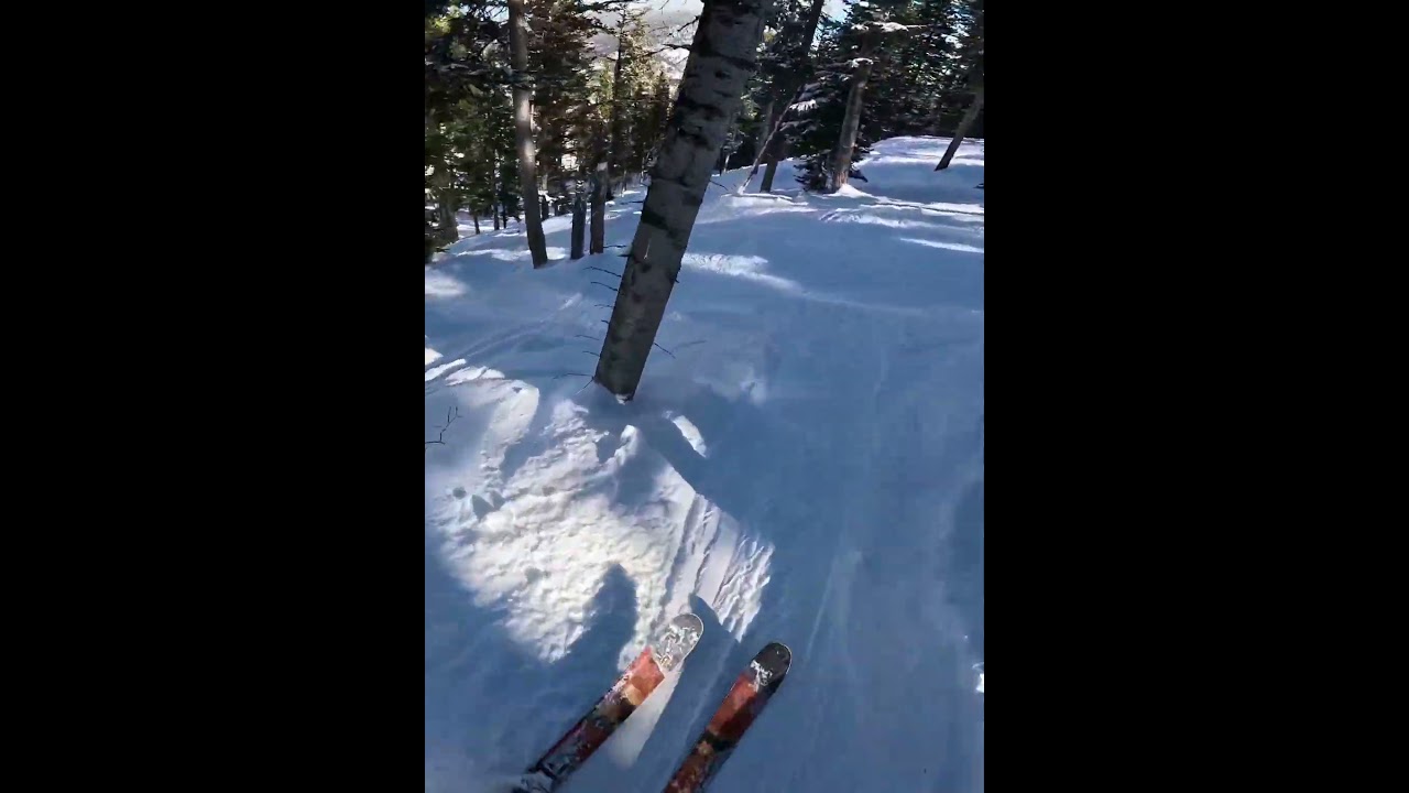 Satisfying Tree Skiing