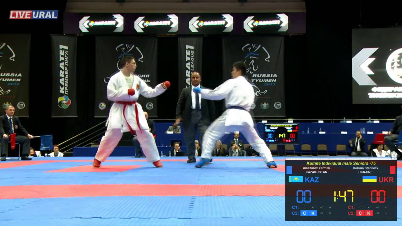 Kumite Individual male Seniors -75 Karate1 Premier League, Tyumen 2013