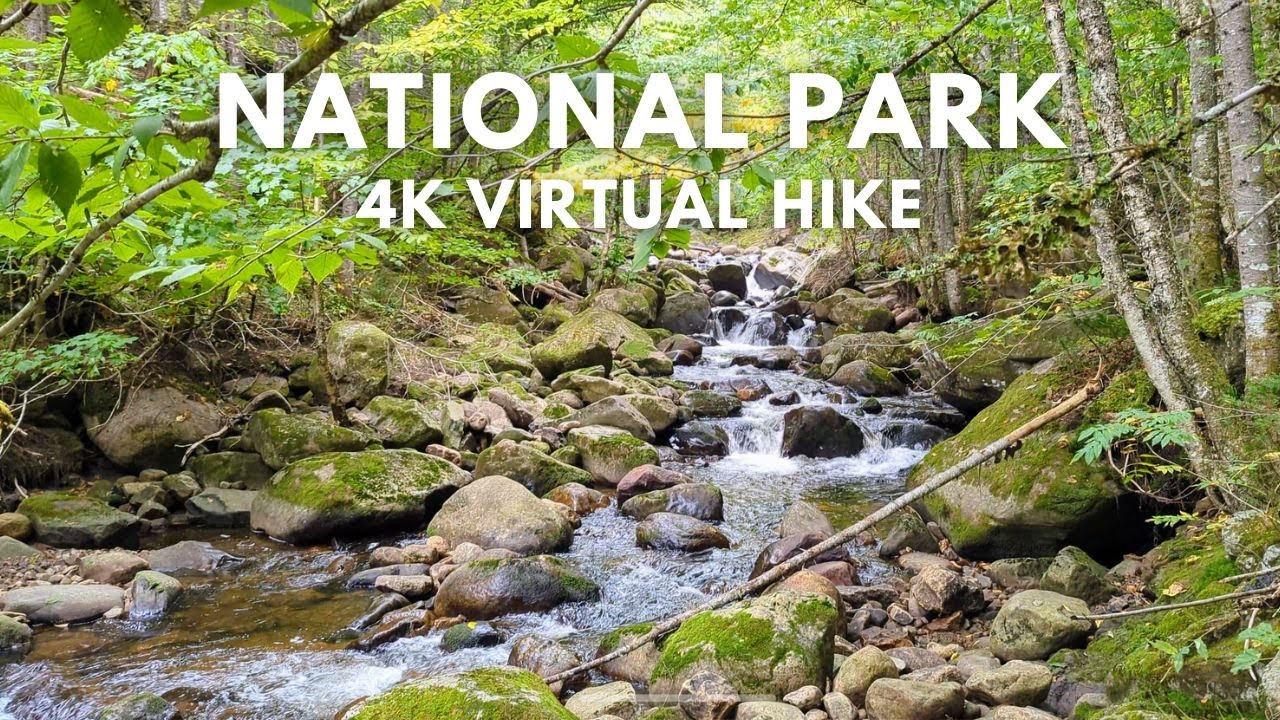 Hike Along Cascading Stream Through Canadian Forest | 4K Parc national de la Jacques-Cartier