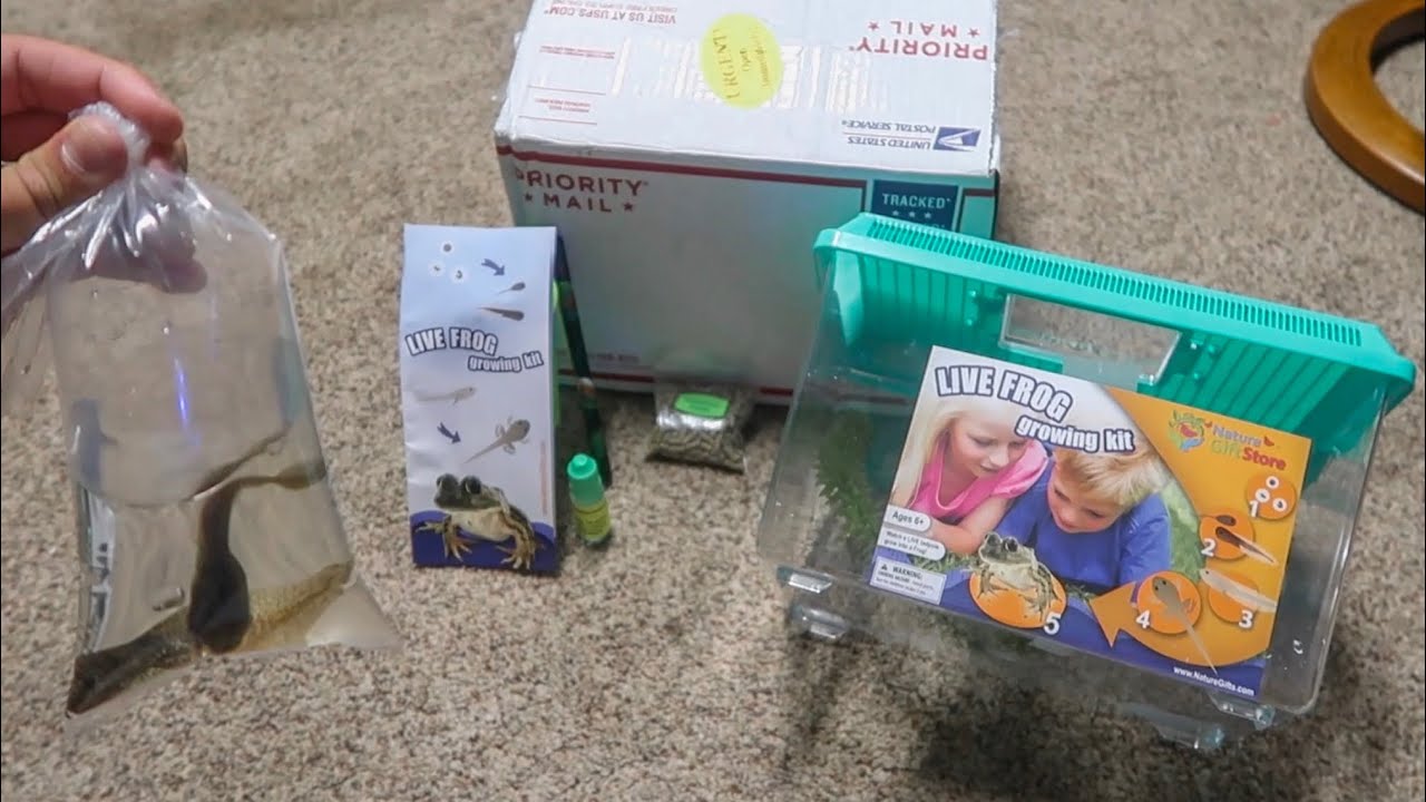 *NEW* BULLFROG TADPOLE AQUARIUM KIT!!!
