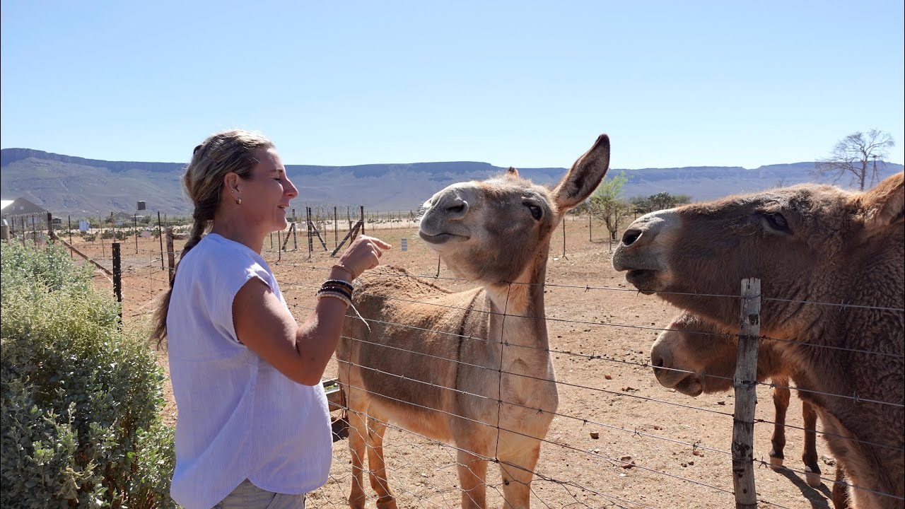 Langebaan to Calvinia 2023