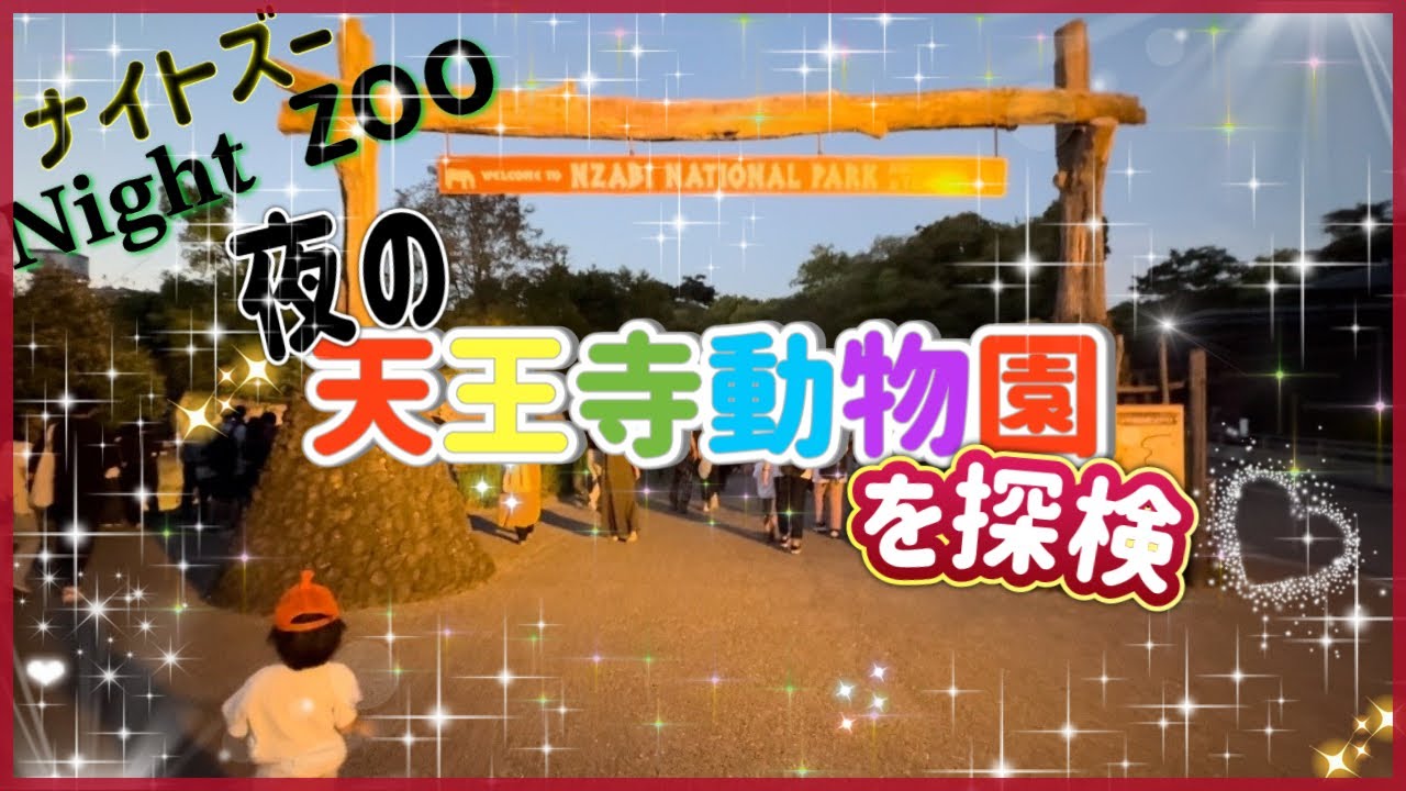 【天王寺動物園ナイトズー体験記】普段と違う動物園で子供が夜でも楽しめる✨見逃せない土日夏限定のナイトZOO ☾✨✨