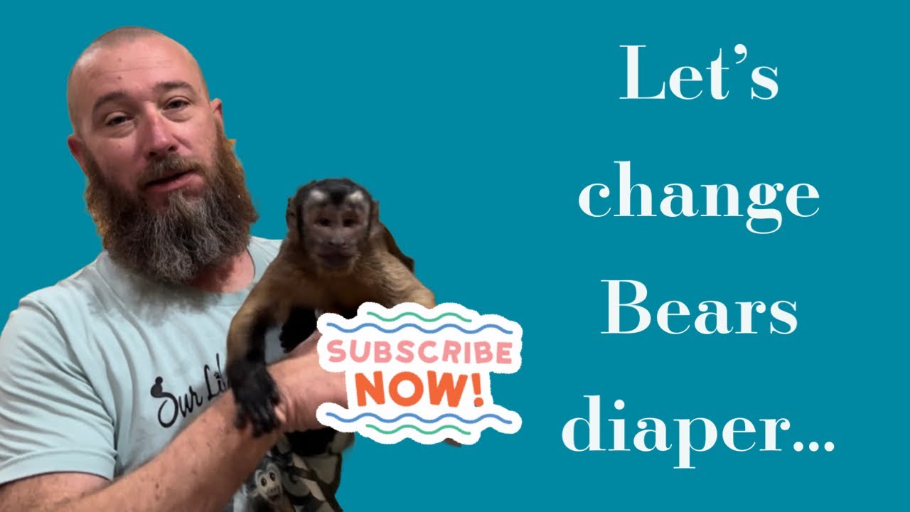 He can change diapers too 😂 #monkeys