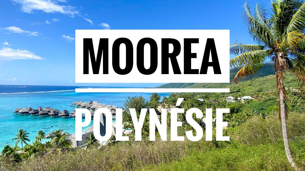 MOOREA | POLYNÉSIE FRANÇAISE
