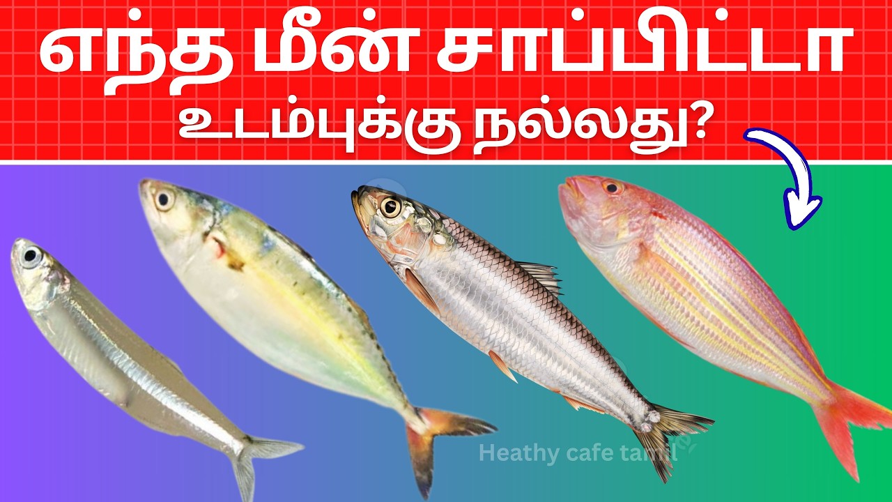 மீன்கள் அவசியம் சாப்பிடுங்க - ஆரோக்கியம் | Eat these fishes |Tamil Health Tips