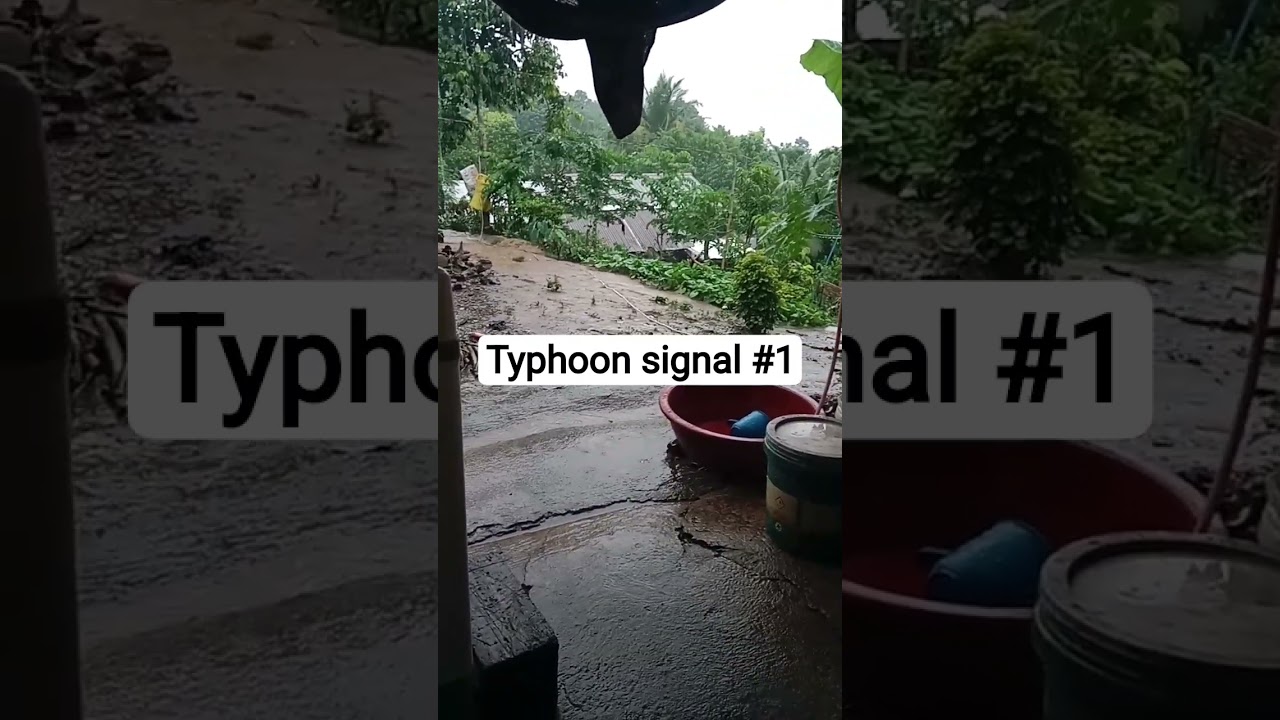 Philippines typhoon signal number 1 day and night nonstop raining #shortvideo #typhone #philippines