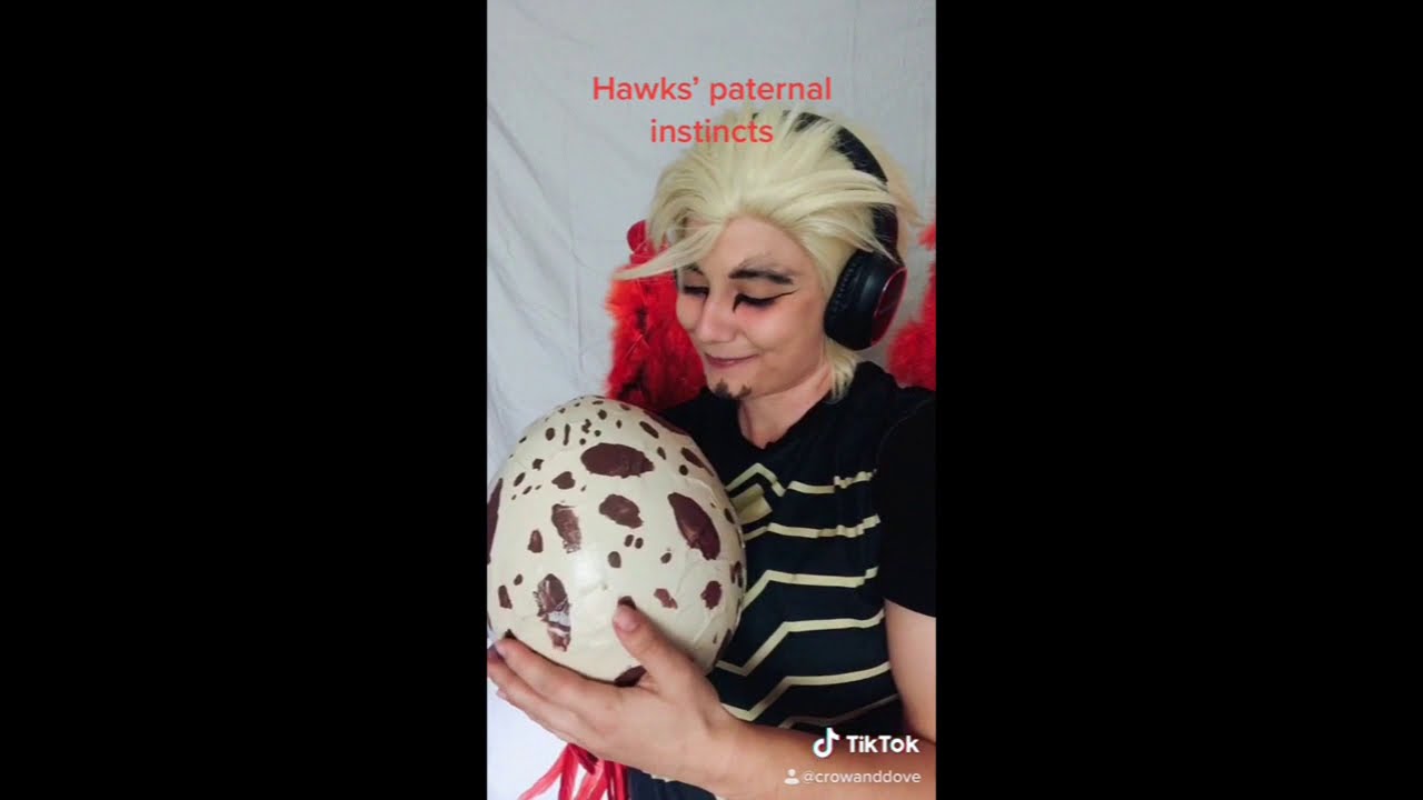 DabiHawks Egg AU Beginning and Misc