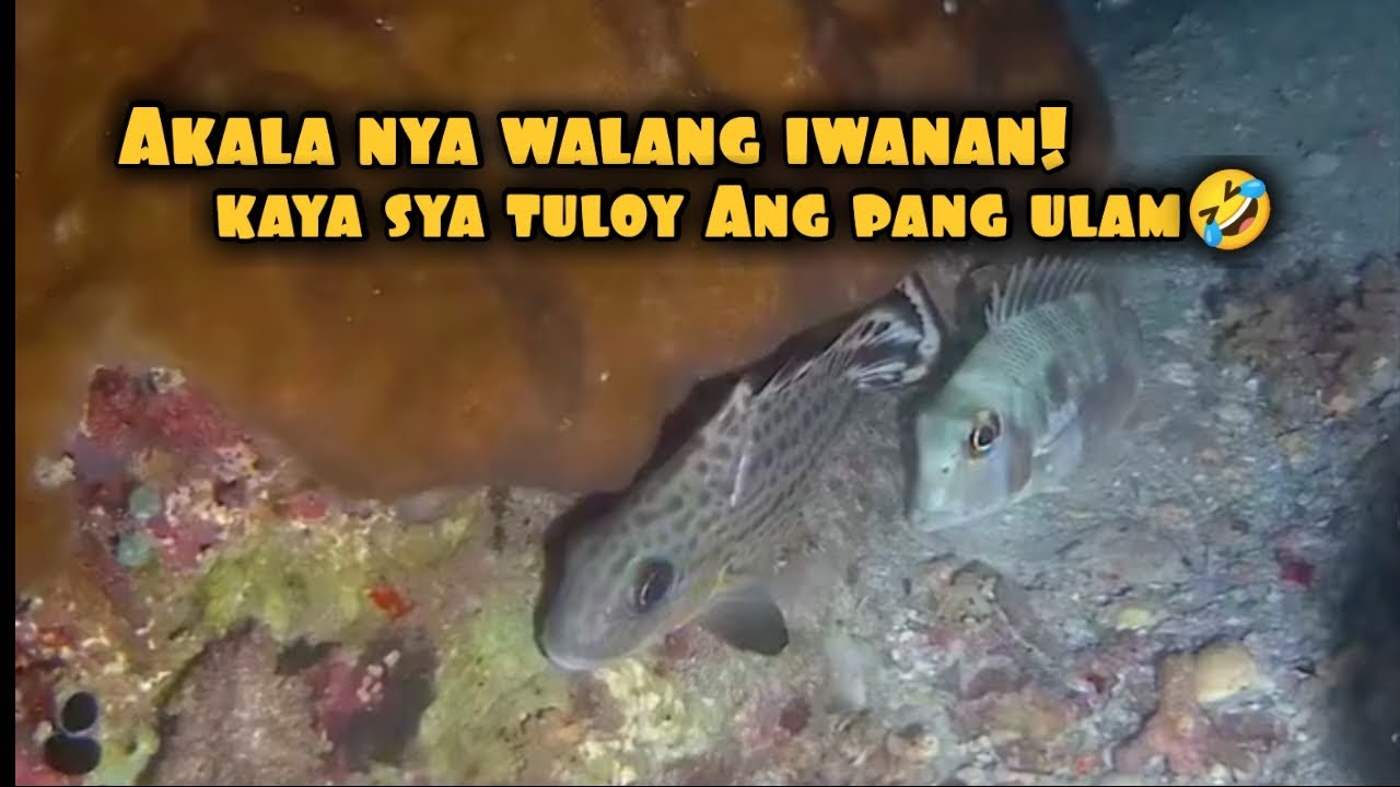 Akala nya walang iwanan!!