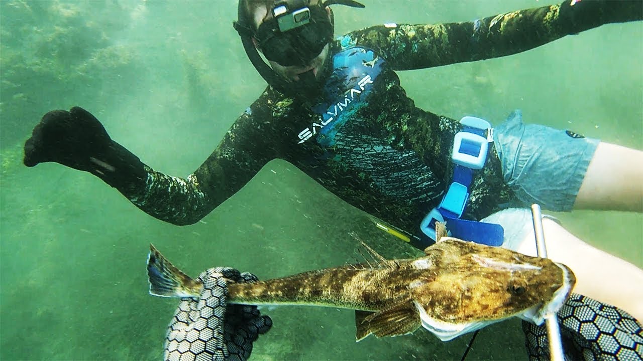 Spearfishing Local Lake - FLATHEAD & WHITING Catch & Cook!