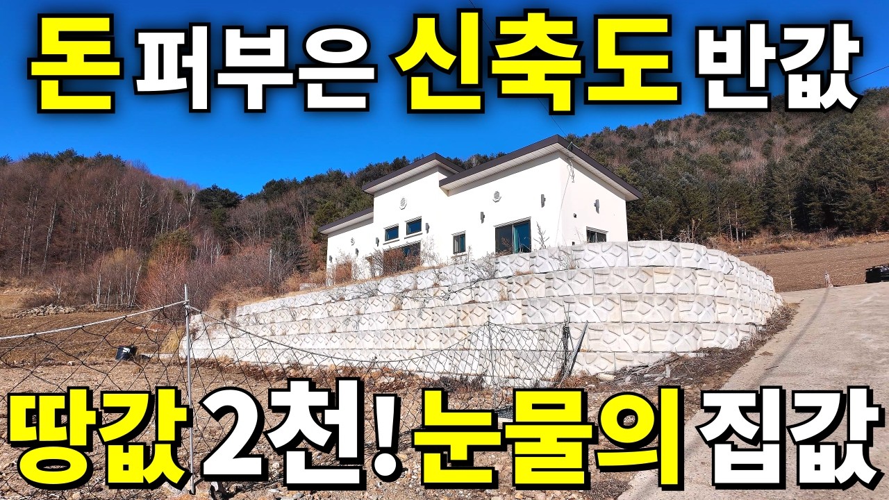 수 억~ 들여 지어놓은 2023년식 신축도 헐값! 땅값 2,000만원! 시골집과 비슷한 신축 전원주택~