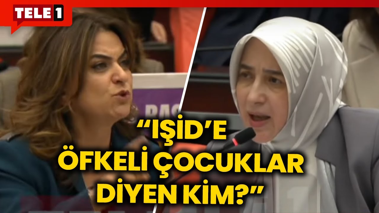 Meclis'te Suriye tartışması! Gülistan Kılıç Koçyiğit Sefer Taş ile Fethi Şahin'i hatırlattı!