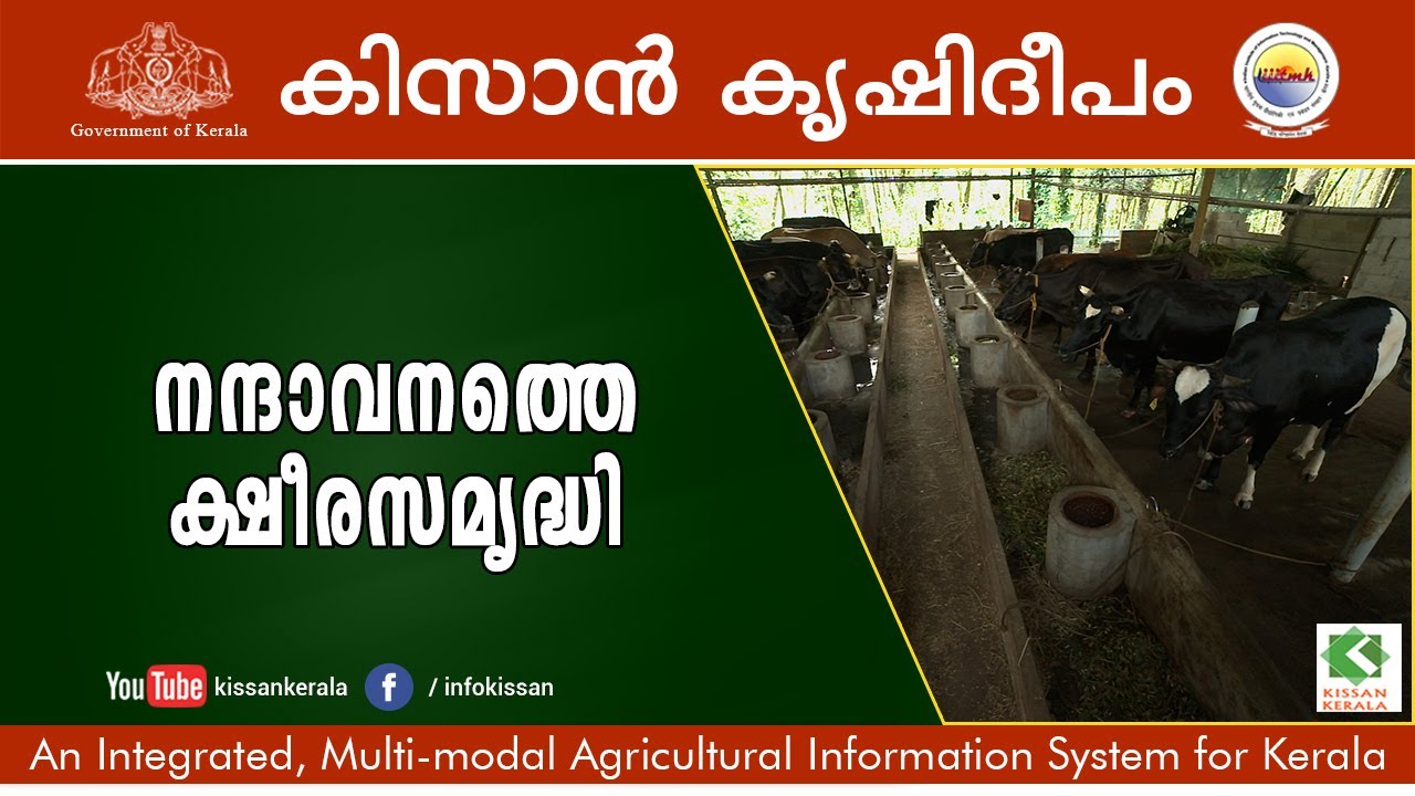Kissan Krishideepam Episode-974 - A model dairy farm at Poovachal