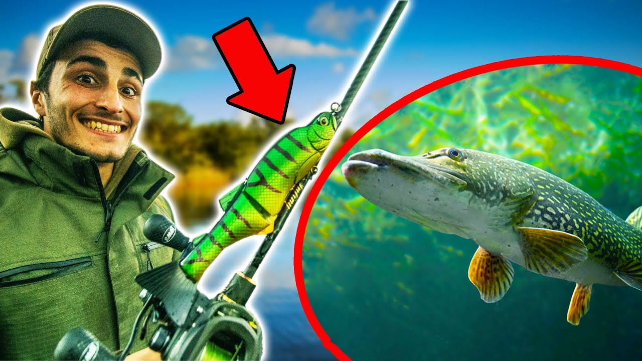 Ouverture de la P&ecirc;che du Brochet ! Une Sacr&eacute;e Journ&eacute;e !