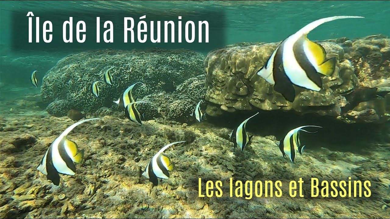 LA REUNION - Snorkeling Lagons et Bassins