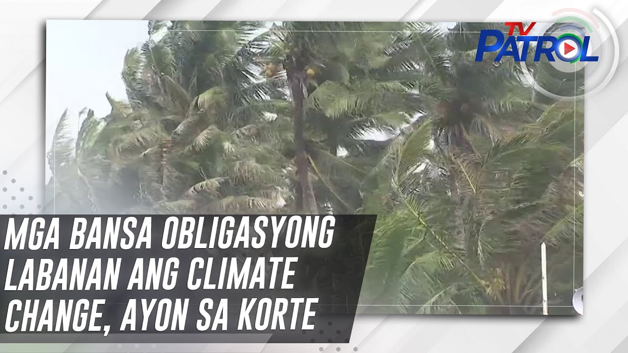 Mga bansa obligasyong labanan ang climate change, ayon sa korte | TV Patrol