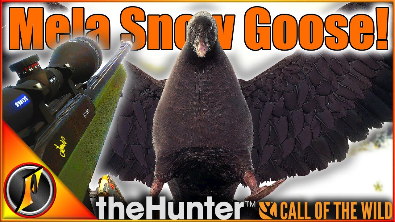 AMAZING MELANISTIC Snow Goose on Askiy Ridge! | theHunter Call of the Wild