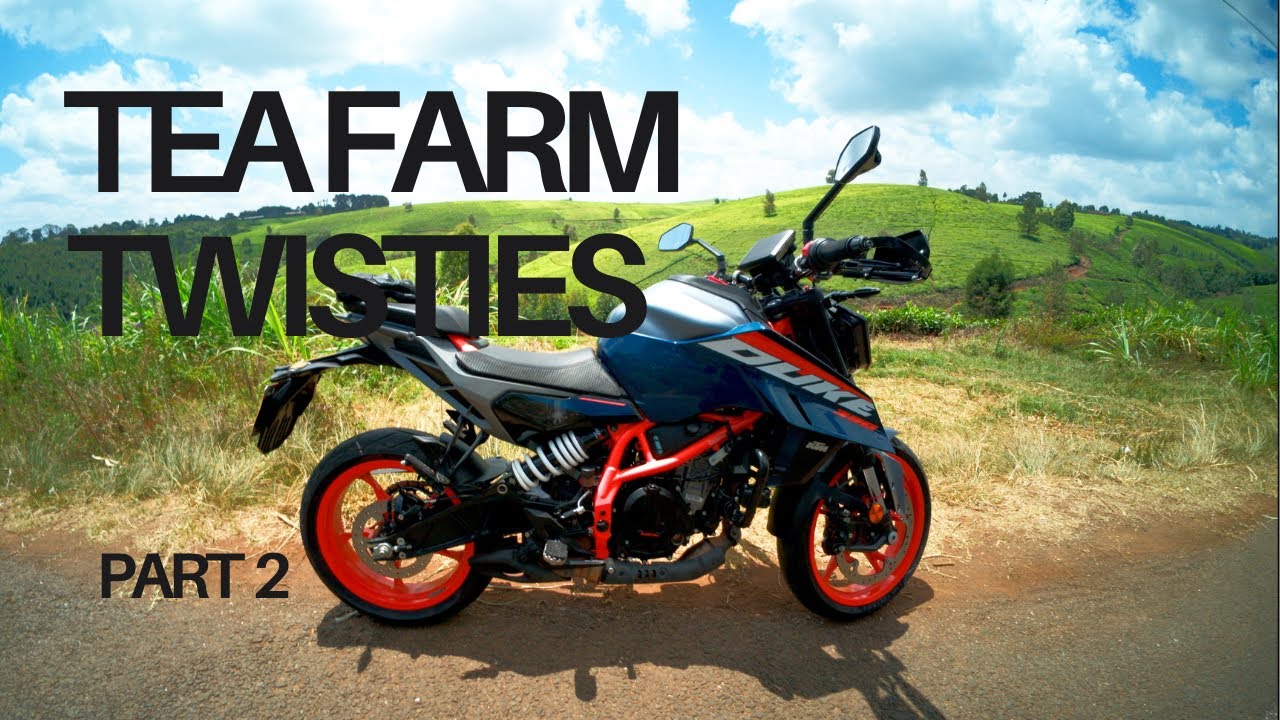 Tea Farm Twisties - Part 2