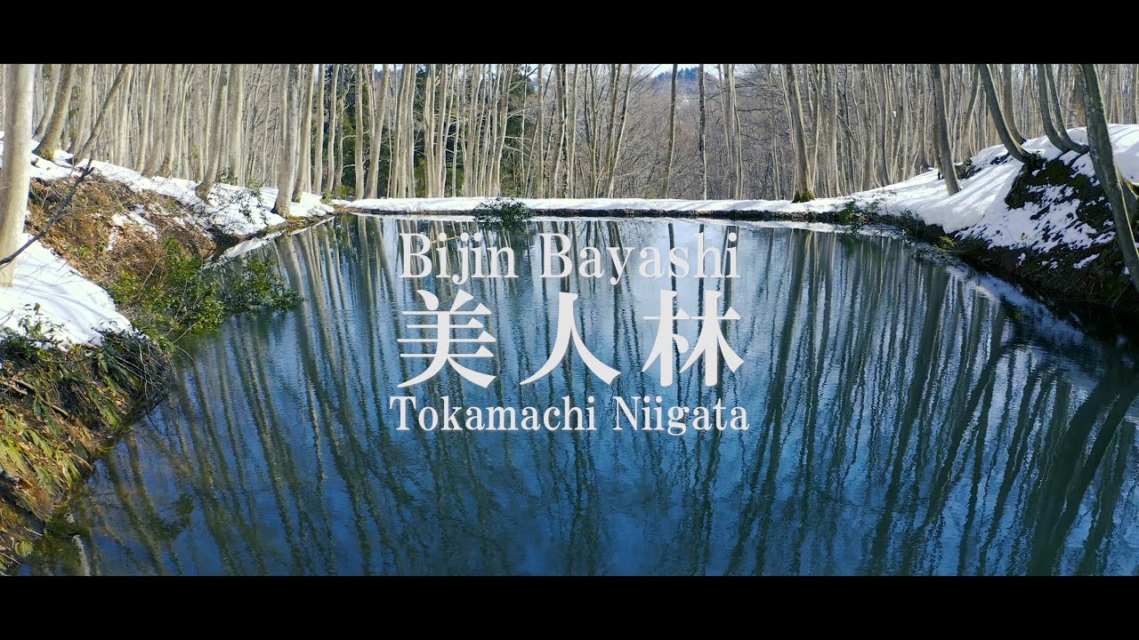 美人林（冬編！4Kドローン映像）新潟県十日町市