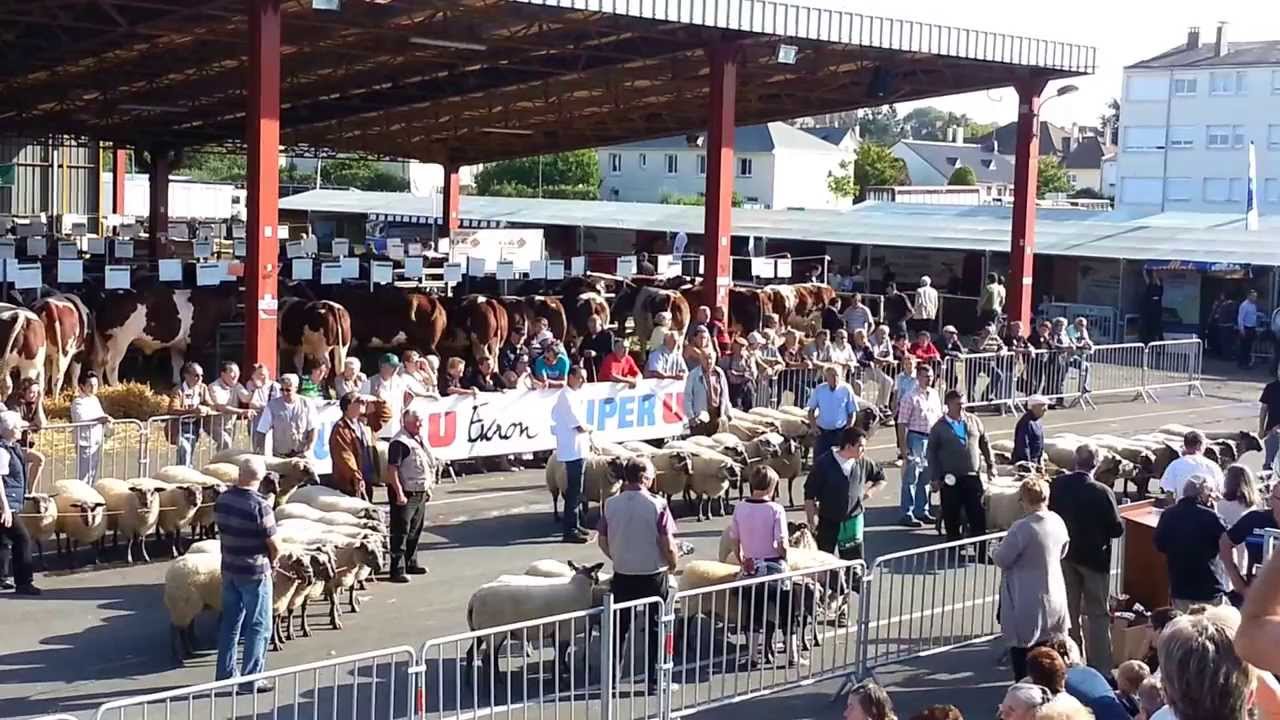 Race ovine Bleu du Maine - Evron 2013 cérémonie de cloture