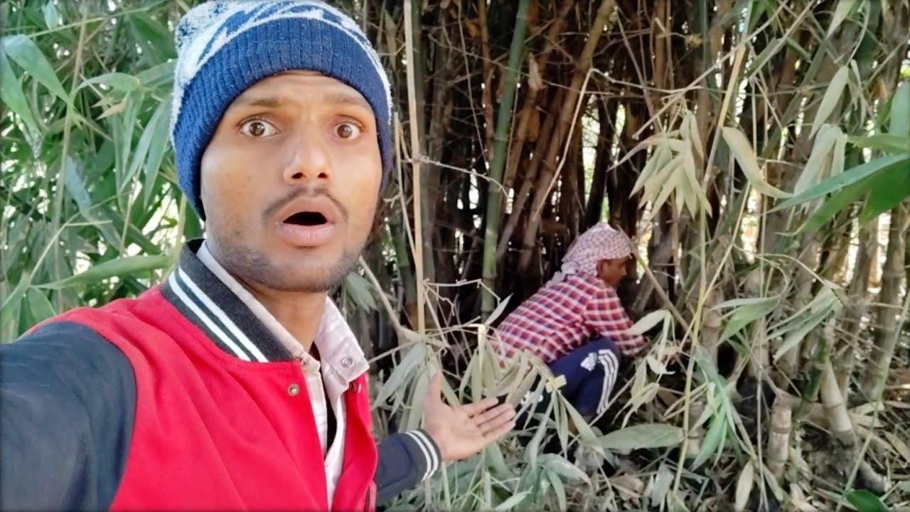 Bamboo Mein Aisa Scene Kabhi Nahi Dekha 😱
