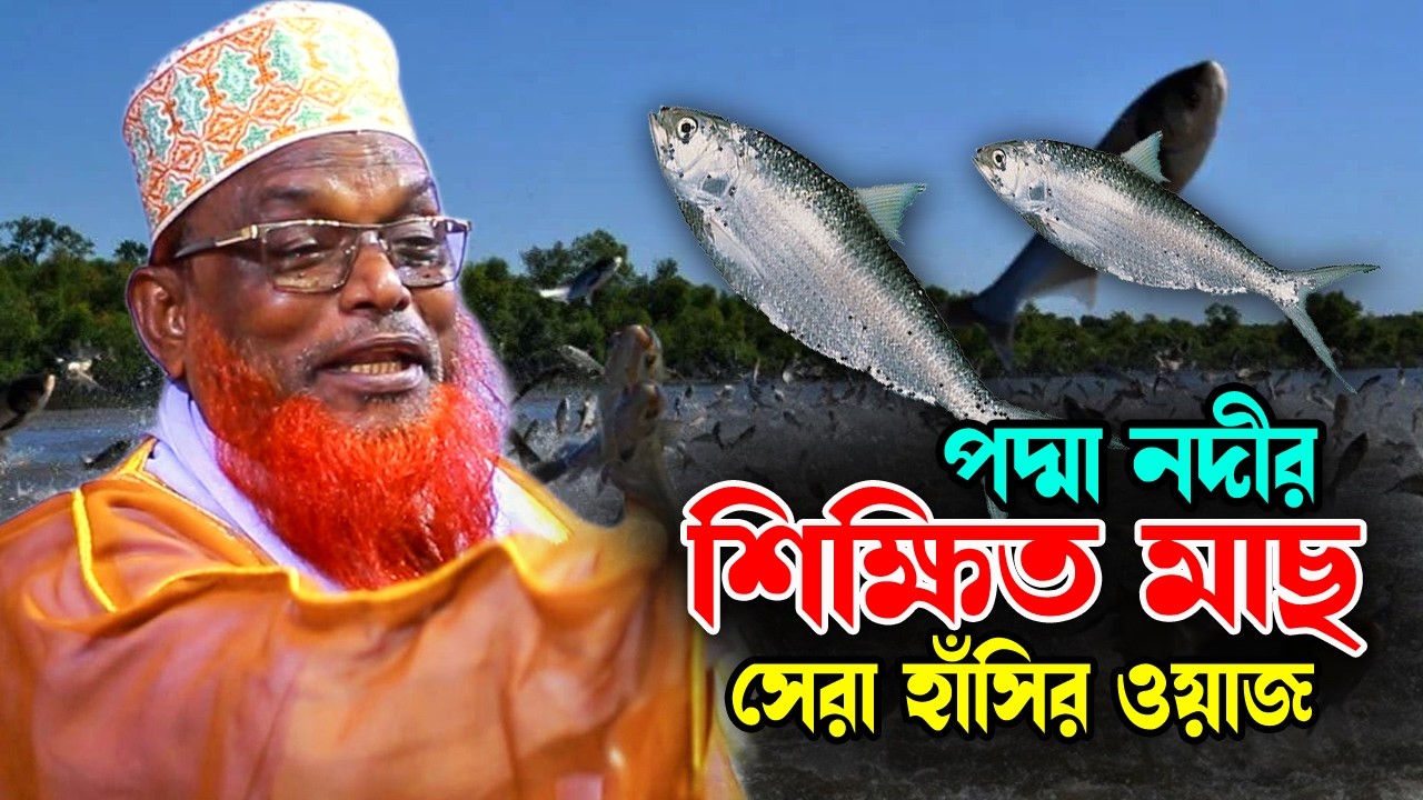 New Hasir Wa মাওলানা রুহল আমিন যুক্তিবাদী Mawlana Ruhul Amin Juktibai. হাঁসির ওয়াজ, বগুড়া ভাষায় ওয়াজ