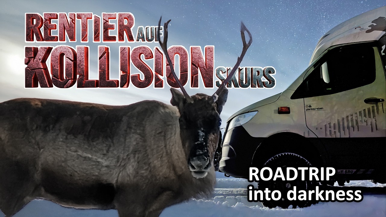 ❄️ 🦌🚐 Rentier auf Kollisionskurs ❄️