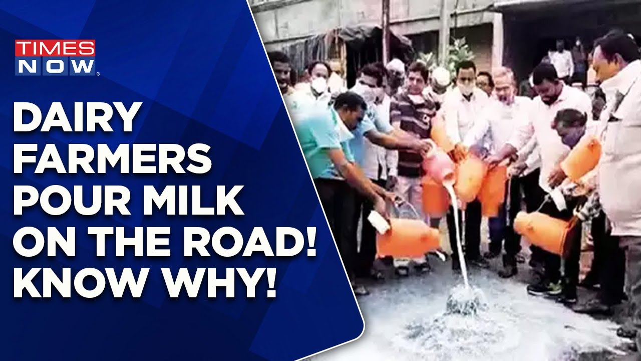 Dairy Farmers In Erode, Tamil Nadu Hold Massive Protests | Pour Milk On The Road | English News