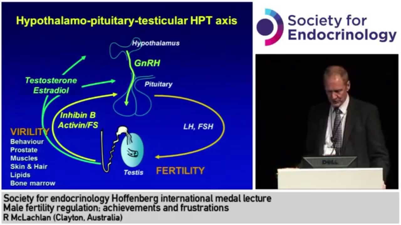 Professor R McLachlan: Male Fertility Regulation; achievements and frustrations