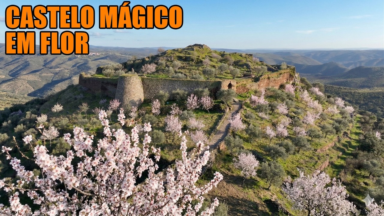 A Neve Que Não Derrete: O Milagre das Amendoeiras em Flor de Castelo Melhor
