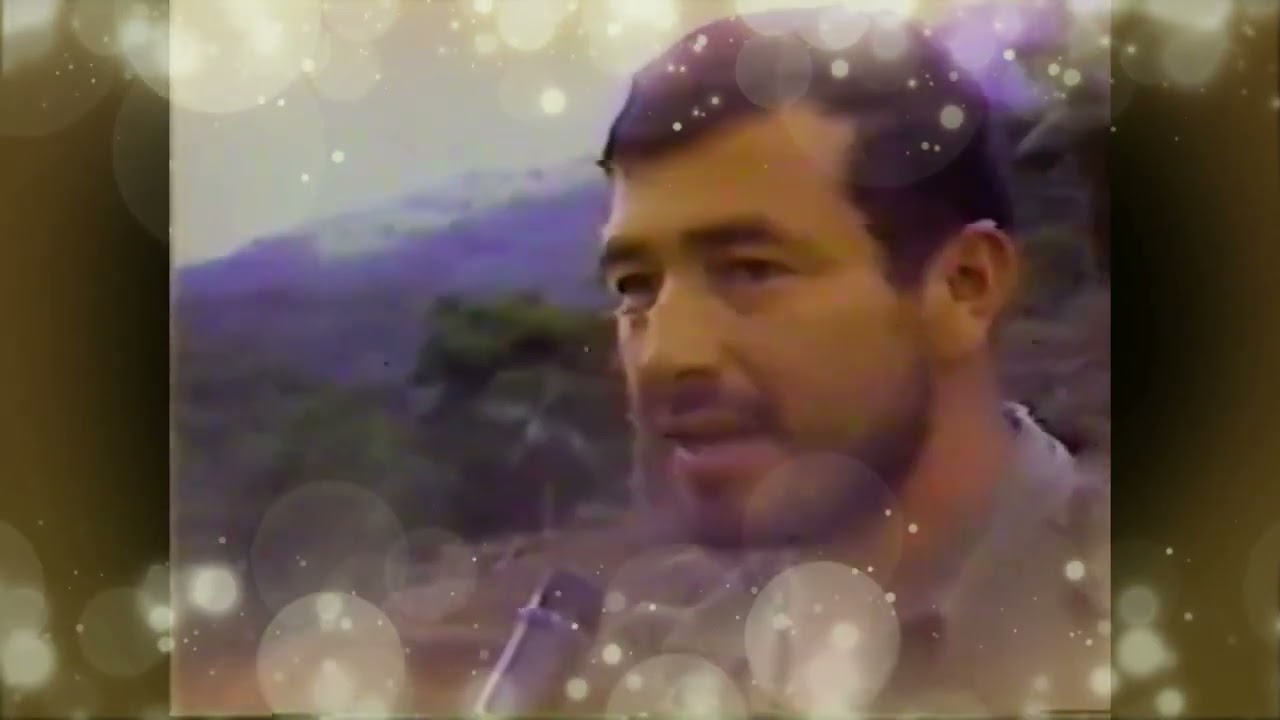 Operaciones militares en la Cordillera del Cóndor año 1981 