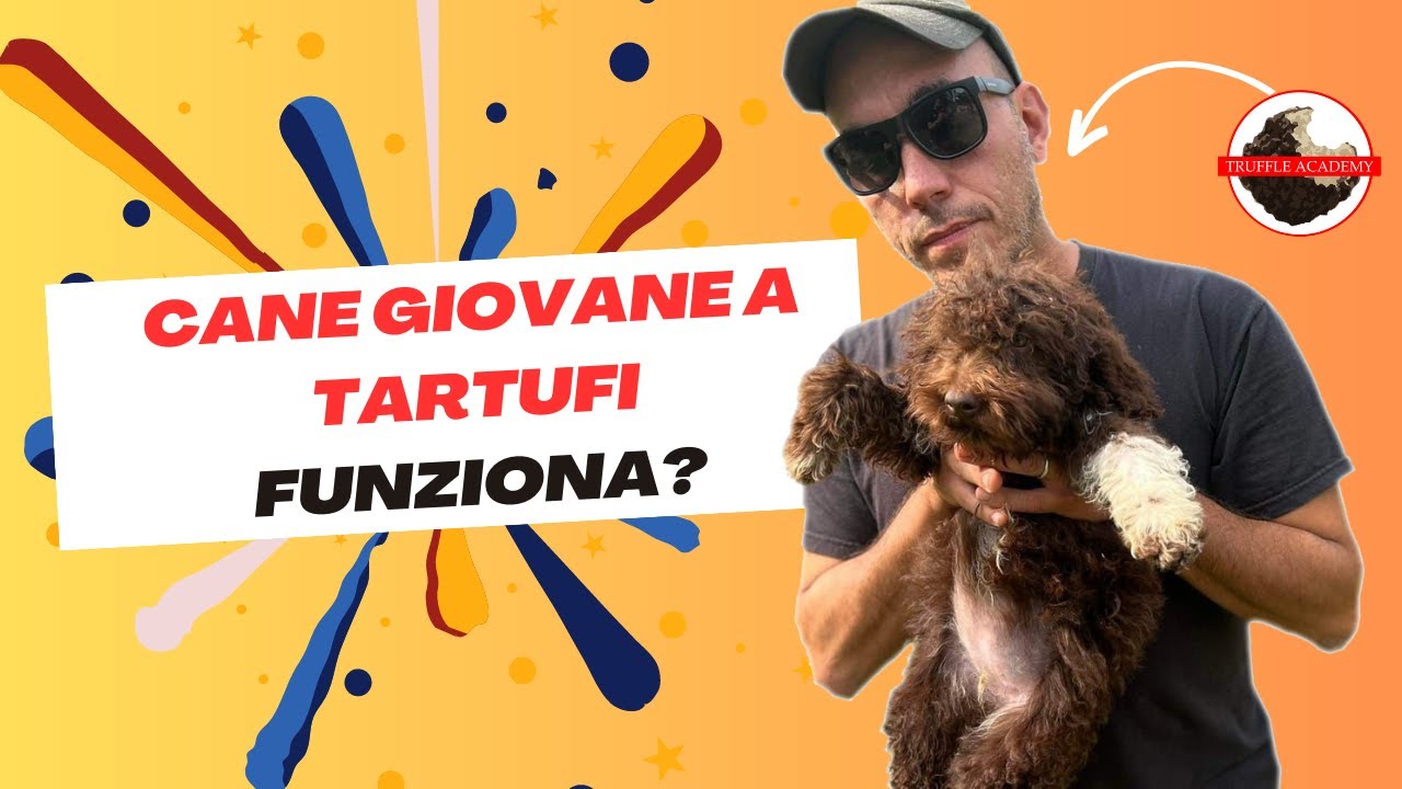 A TARTUFI con un CANE GIOVANE?