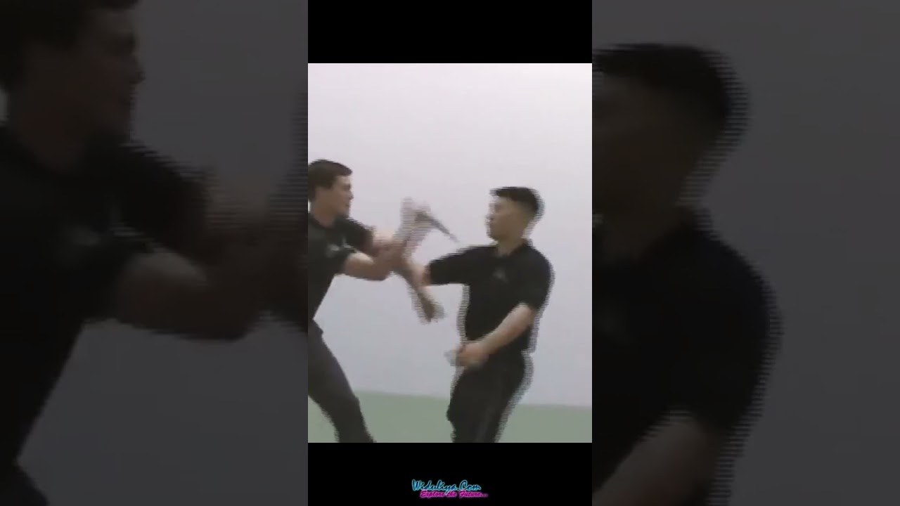 Systema a smooth art #shorts #systema #selfdefense