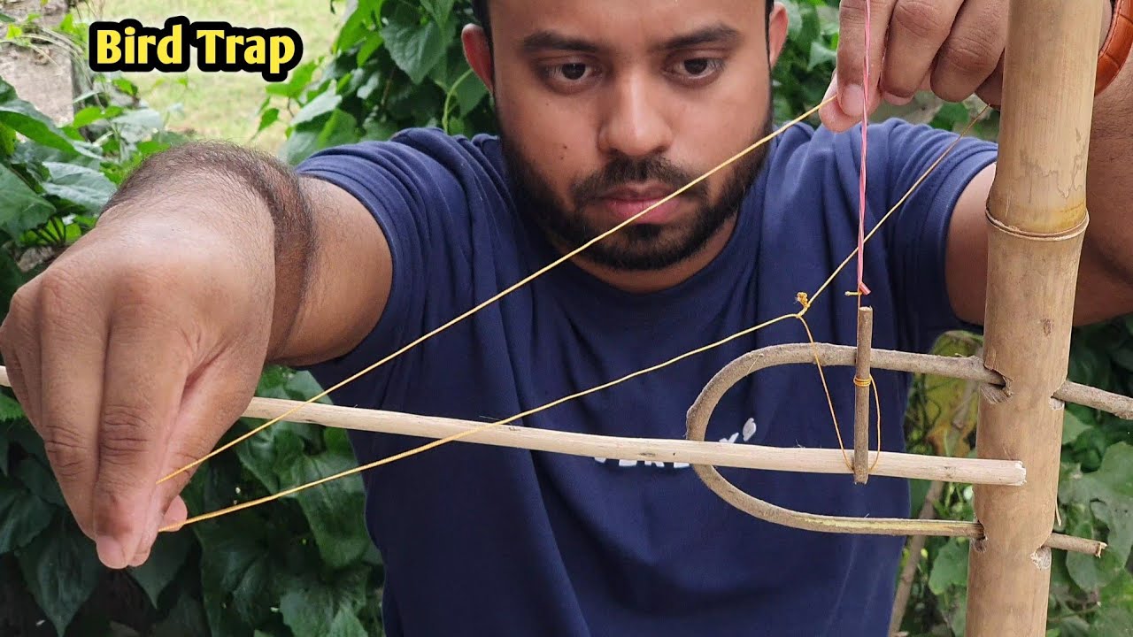 Bird Trap Tutorial | Tree Bird Trap Easy Homemade |🐥