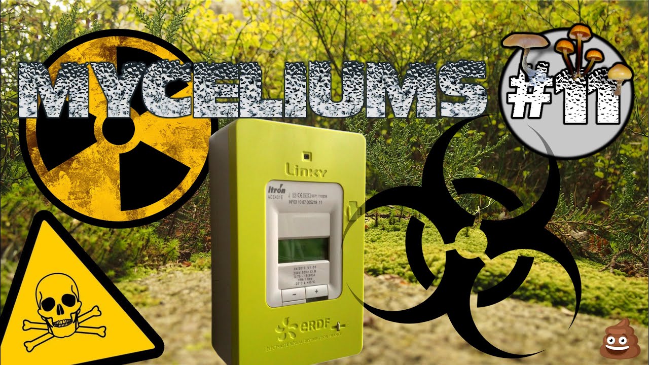 Les incommensurables dangers du Linky - Mycéliums 11