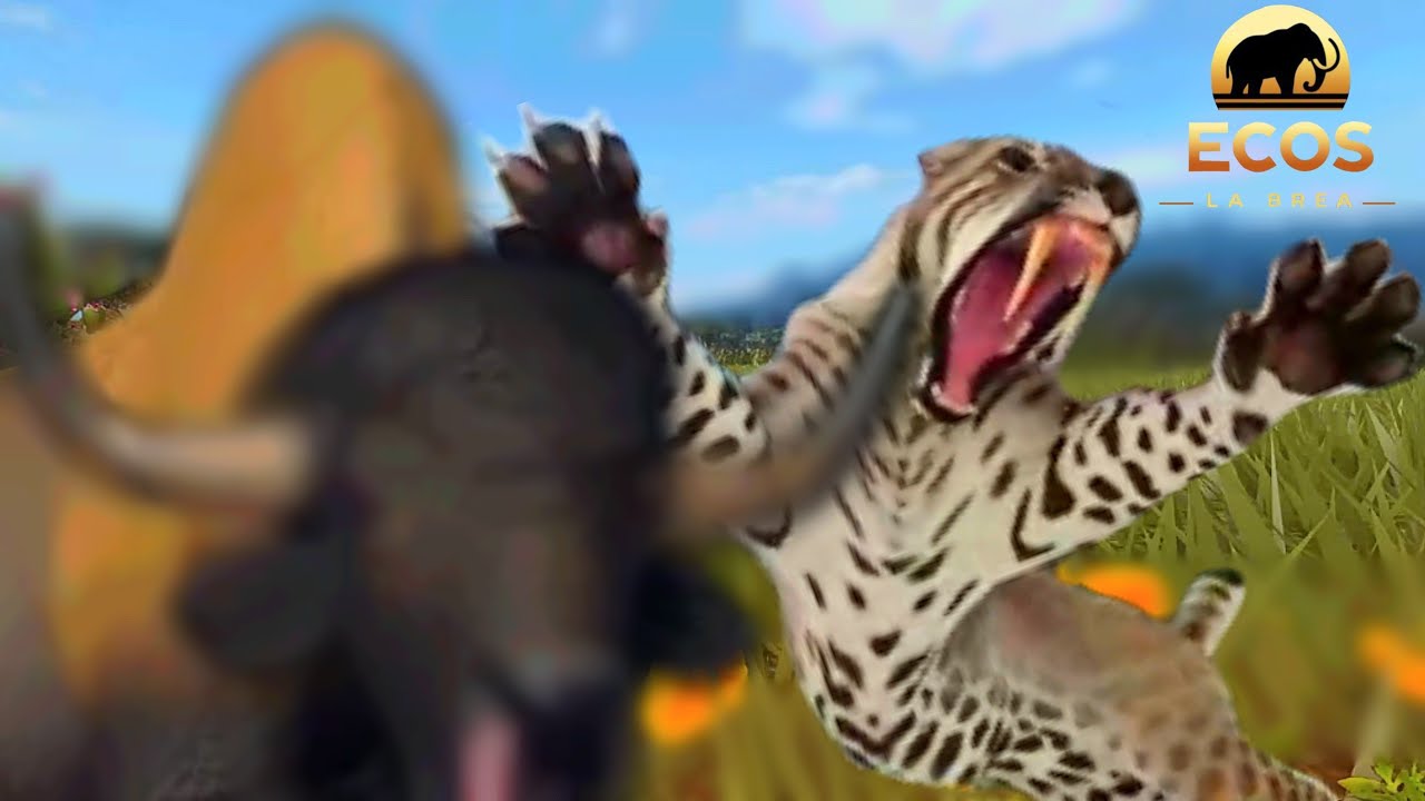 How to get saber toothed tiger in game Ecos la Brea step by step | Roblox game