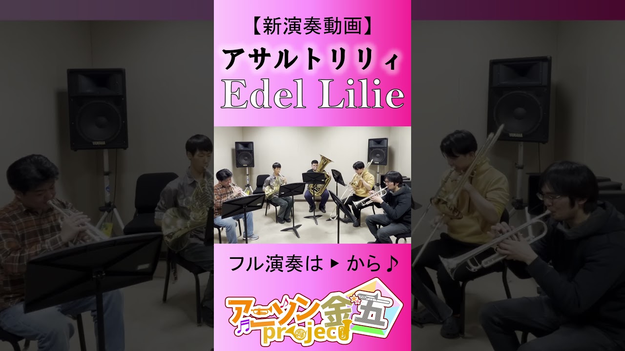 【アサルトリリィ】Edel Lilie／一柳隊【演奏してみた】