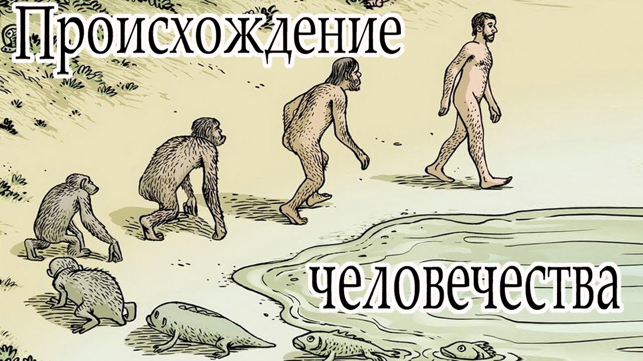 Зарождение жизни и происхождение человечества