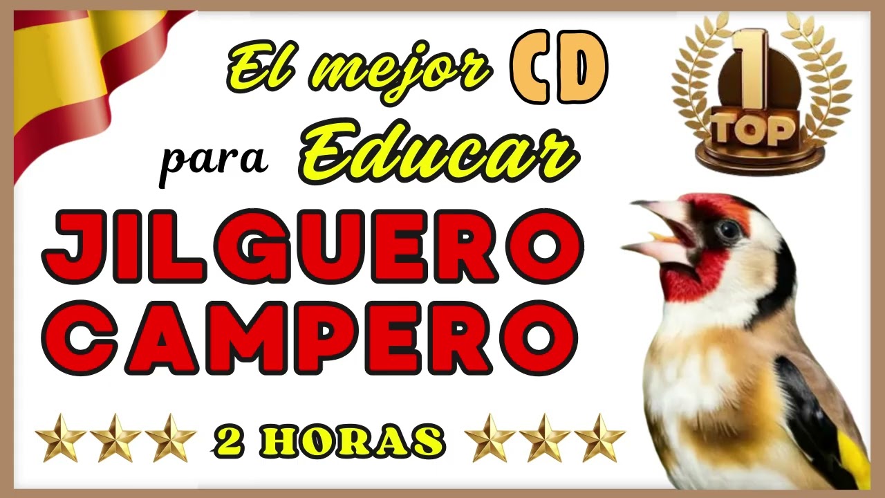 🏆𝗘𝗗𝗨𝗖𝗔𝗥 𝗝𝗜𝗟𝗚𝗨𝗘𝗥𝗢𝗦 𝗔 𝗖𝗔𝗡𝗧𝗘 𝗖𝗔𝗠𝗣𝗘𝗥𝗢 𝟮 𝗛𝗢𝗥𝗔𝗦. 𝗖𝗔𝗗𝗘𝗥𝗡𝗘𝗥𝗔 𝗚𝗢𝗟𝗙𝗜𝗡𝗖𝗛 𝗖𝗛𝗔𝗥𝗗𝗢𝗡𝗡𝗘𝗥𝗘𝗧 𝗖𝗢𝗟𝗢𝗥𝗜𝗡 𝗖𝗗 𝗖𝗢𝗡𝗖𝗨𝗥𝗦𝗢𝗦 🐦📀🎶