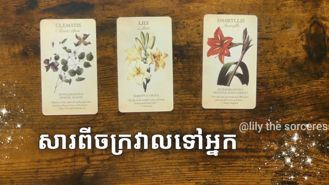 តើចក្រវាលមានសារអ្វីសម្រាប់អ្នកខ្លះ? ~Pick a card