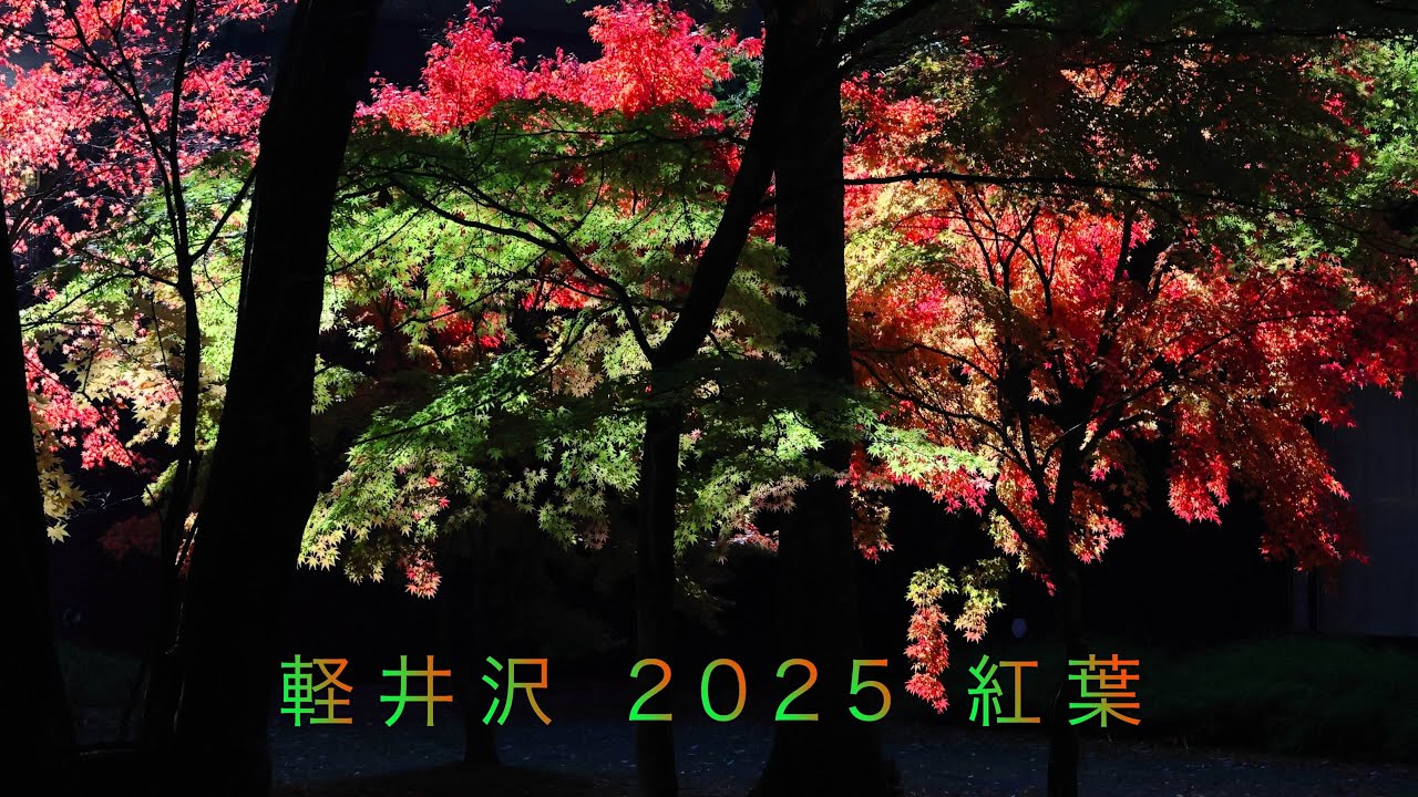 軽井沢 2025 紅葉   　雲場池・御膳水周辺