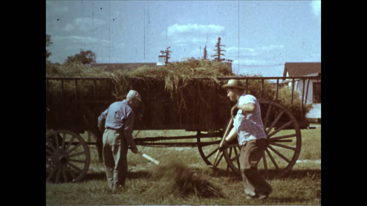 No More Road Trips? A dream ride through 20th-century America made from home movies